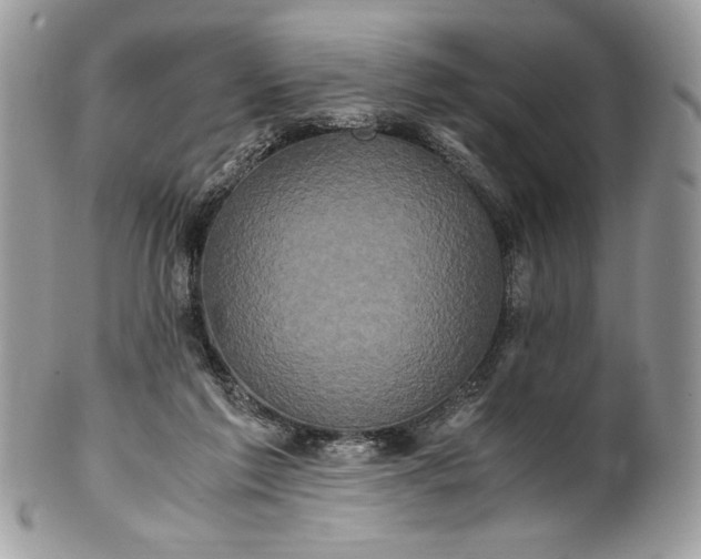 X0000100880213200807071134