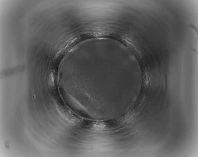 X0000100880214200807071134