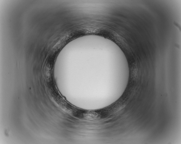 X0000100880215200807071134