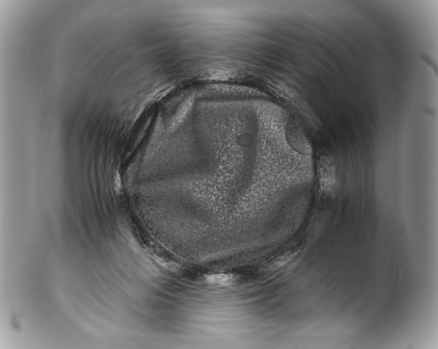 X0000100880216200807071134