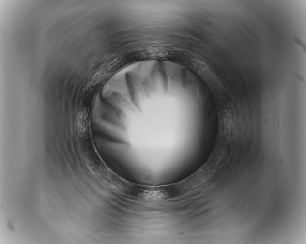 X0000100880218200807071134