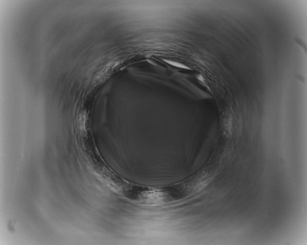 X0000100880219200807071134