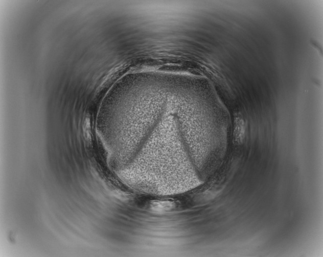 X0000100880220200807071134