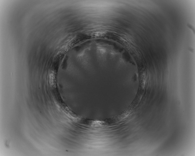 X0000100880222200807071134