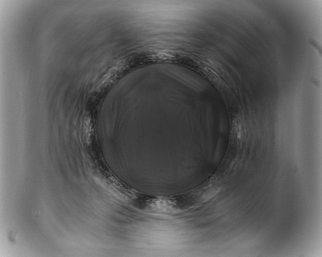 X0000100880223200807071134