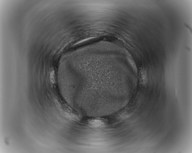 X0000100880224200807071134