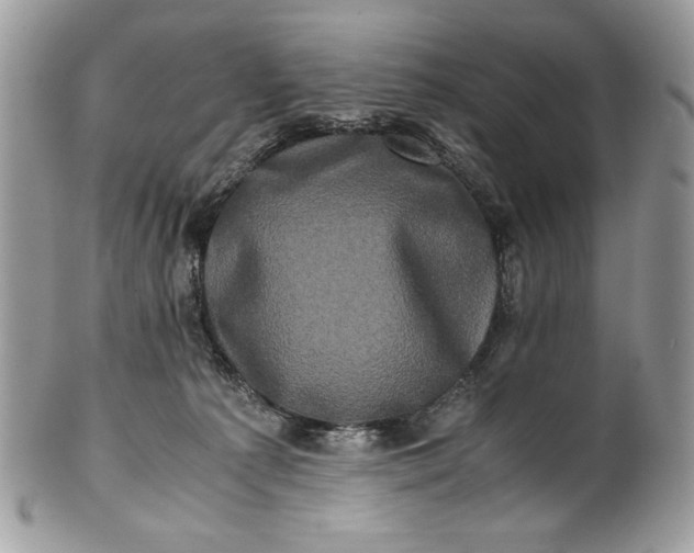 X0000100880225200807071134