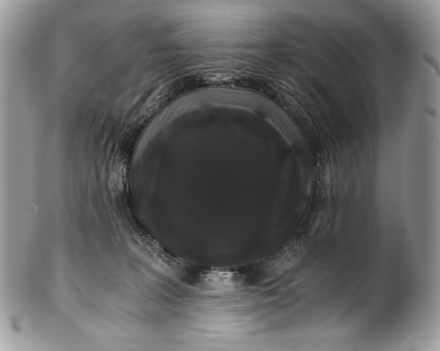 X0000100880227200807071134