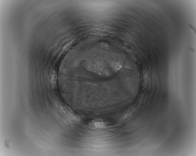 X0000100880228200807071134