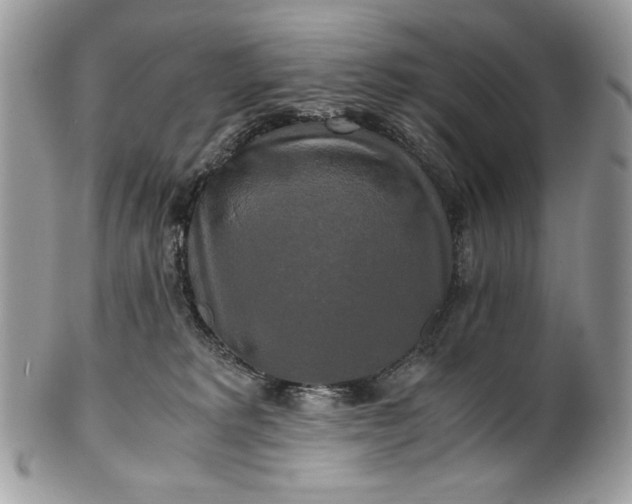 X0000100880229200807071134