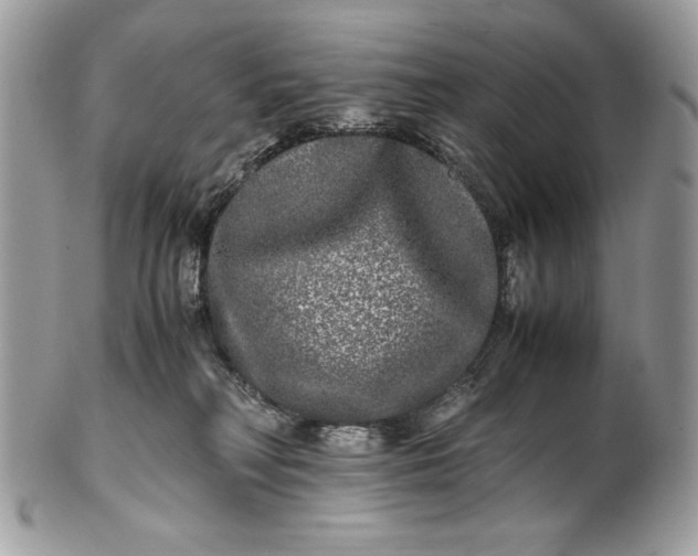 X0000100880230200807071134