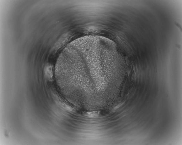 X0000100880232200807071134