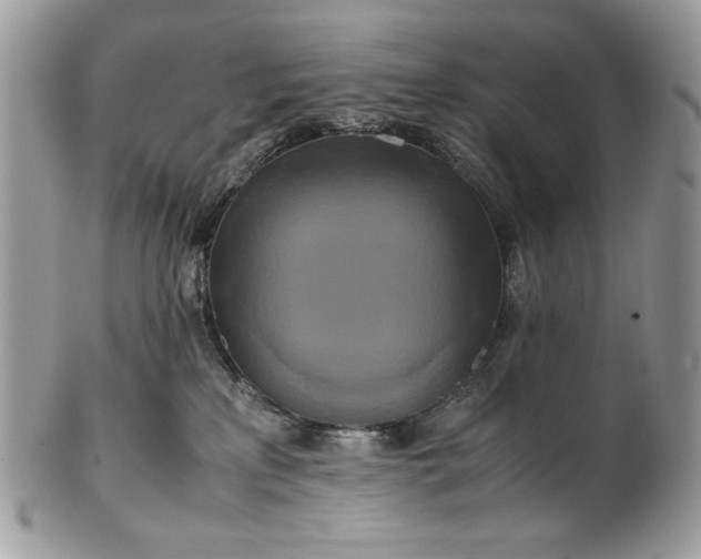 X0000100880233200807071134