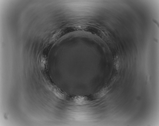 X0000100880235200807071134