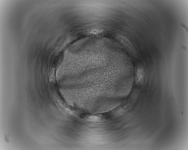 X0000100880236200807071134