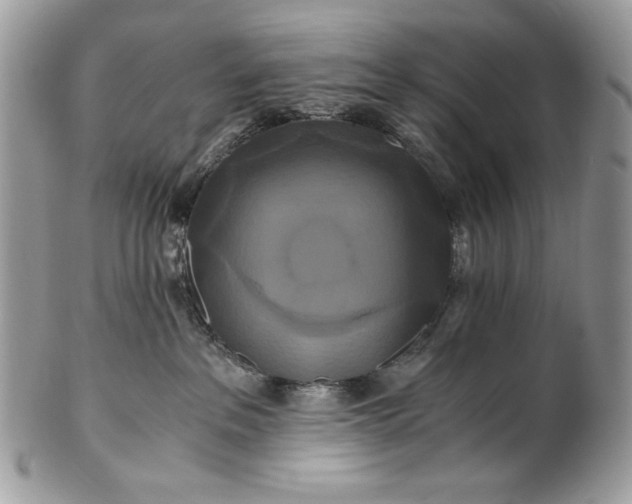 X0000100880237200807071134