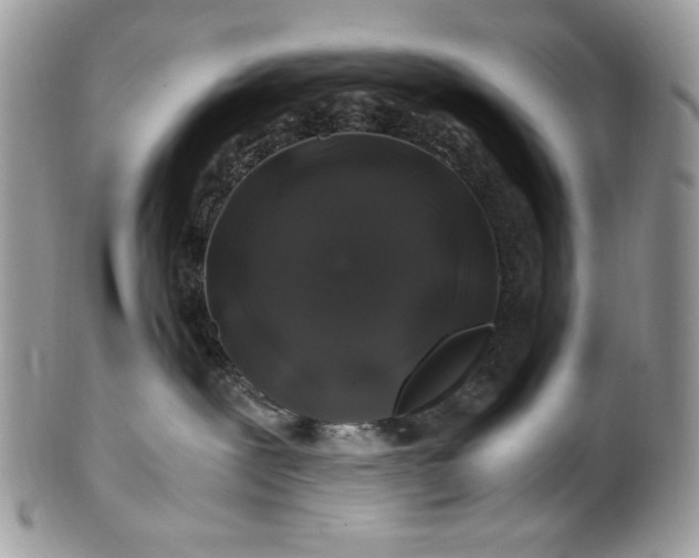 X0000100880239200807071134