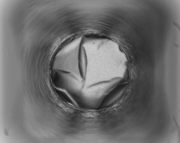 X0000100880241200807071133