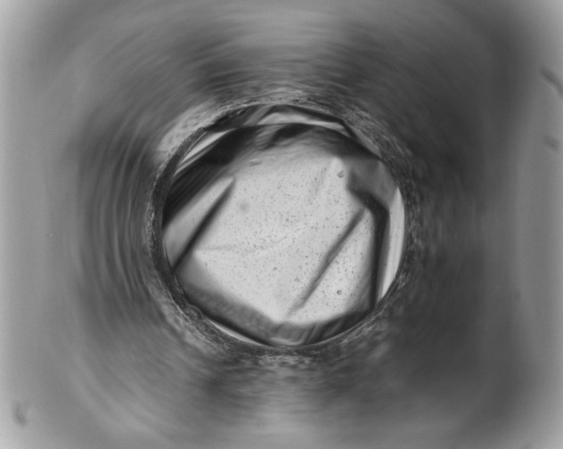 X0000100880242200807071133