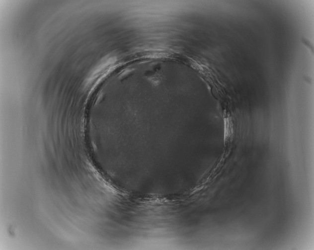 X0000100880243200807071133