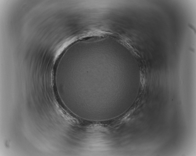 X0000100880244200807071133