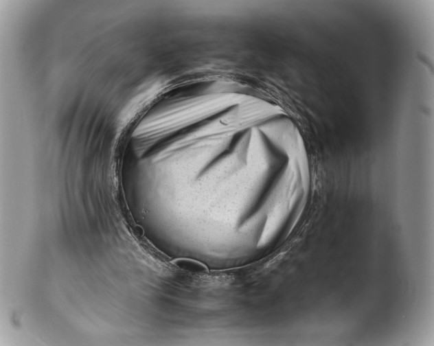 X0000100880245200807071133