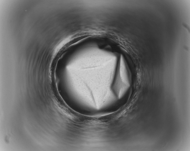 X0000100880246200807071133