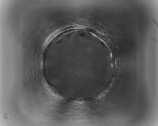 X0000100880247200807071133