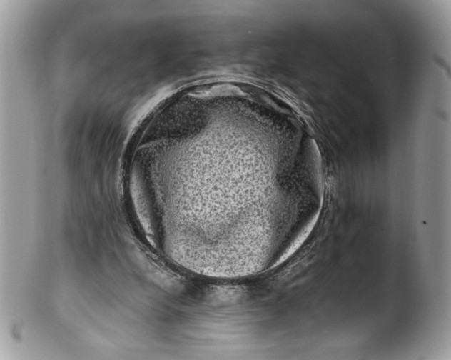 X0000100880248200807071133