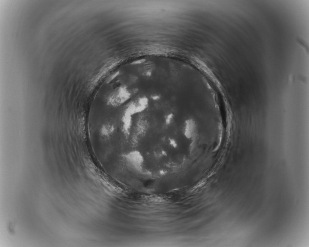 X0000100880249200807071133