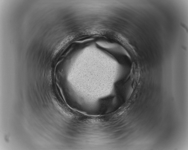 X0000100880250200807071133