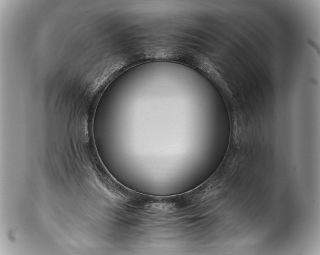 X0000100880251200807071133