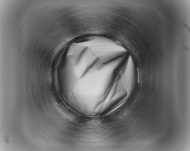 X0000100880252200807071133