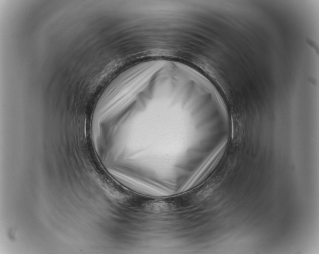 X0000100880253200807071133