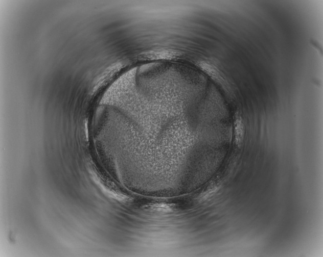 X0000100880254200807071133