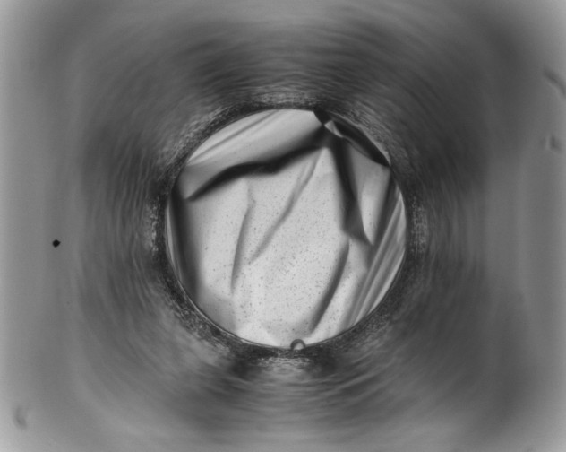 X0000100880255200807071133