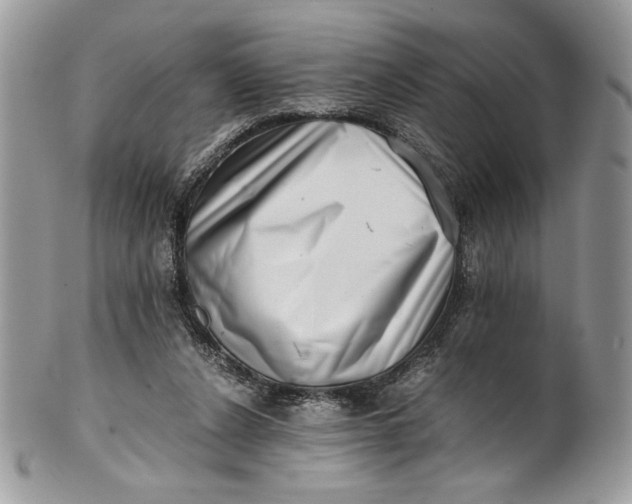 X0000100880256200807071133