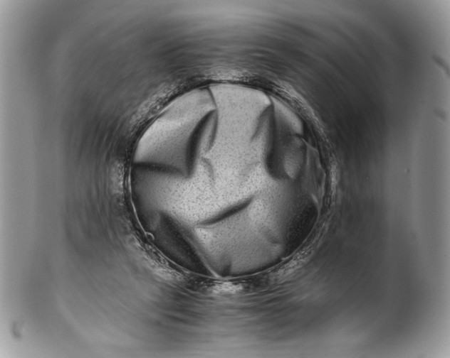 X0000100880257200807071133