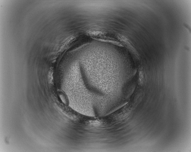 X0000100880259200807071133