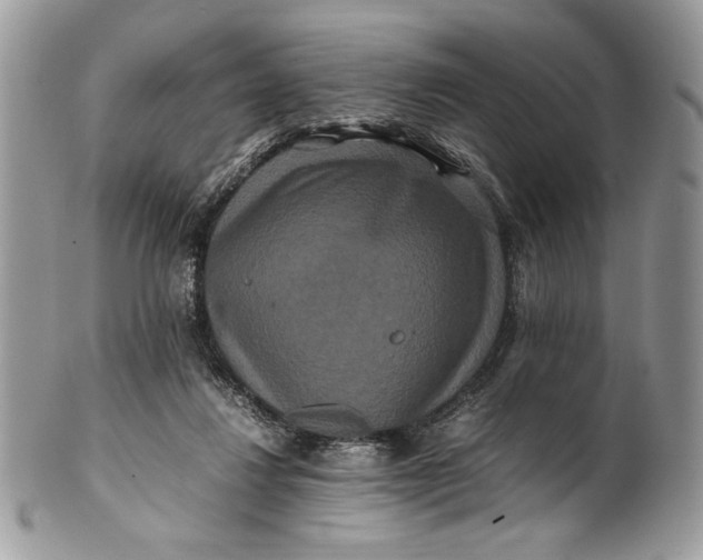 X0000100880260200807071133