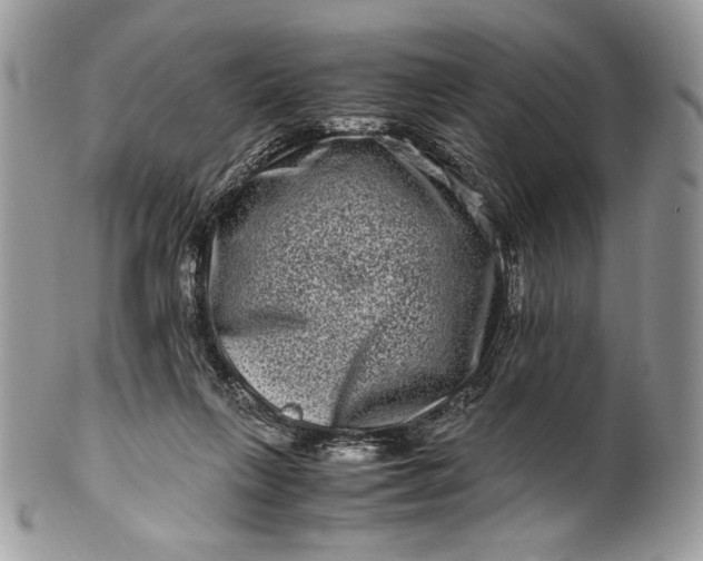 X0000100880263200807071133