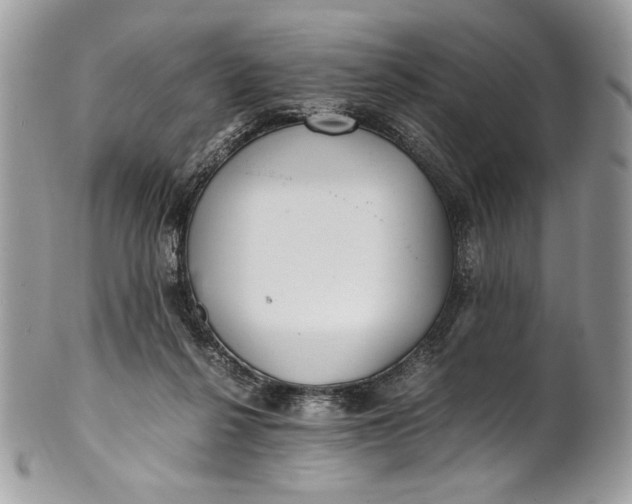 X0000100880264200807071133