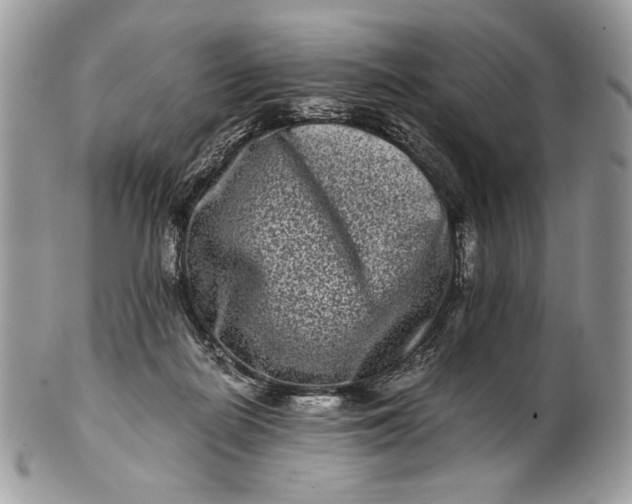 X0000100880266200807071133