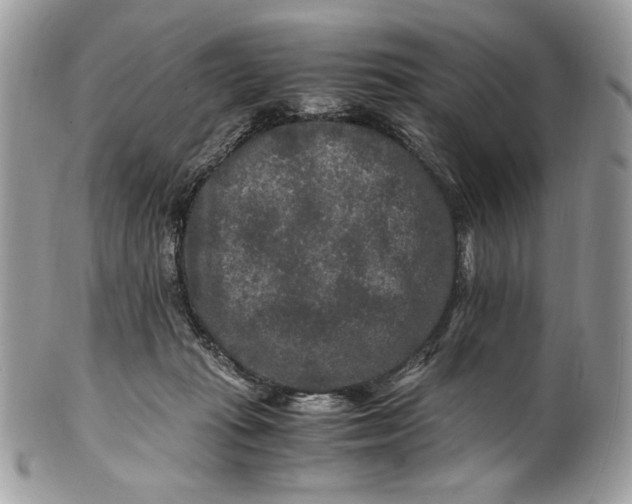 X0000100880269200807071133