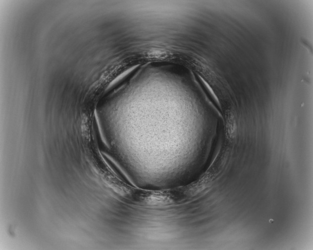 X0000100880270200807071133