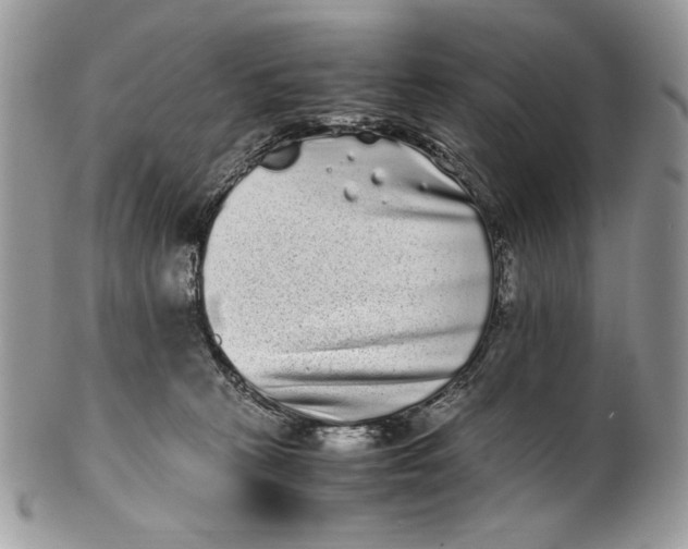 X0000100880273200807071133