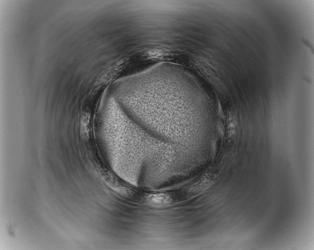 X0000100880275200807071133