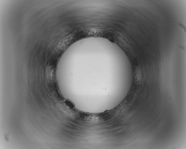 X0000100880276200807071133