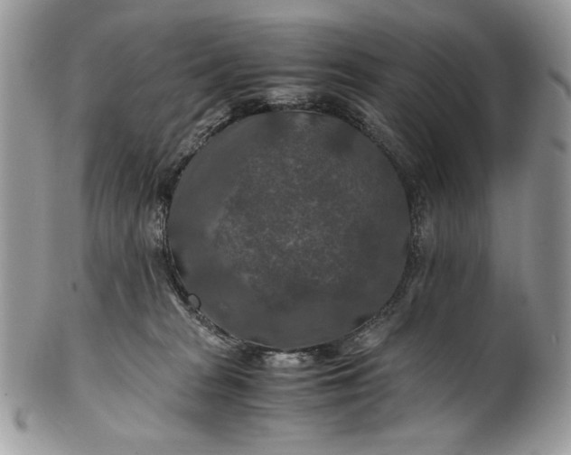 X0000100880277200807071133