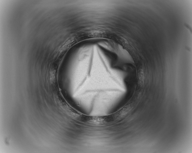 X0000100880278200807071133